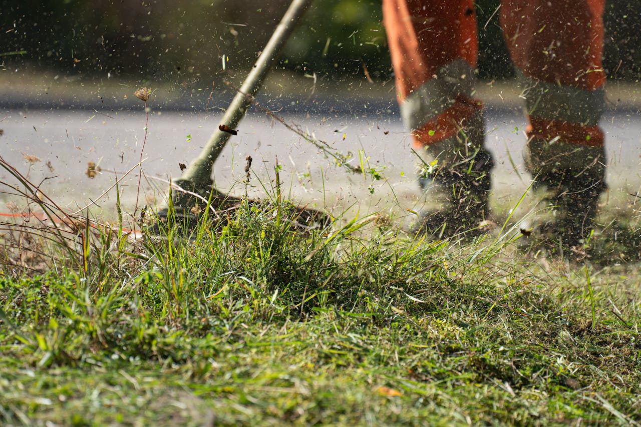 Close-up of a grass cutter trimming green grass with flying clippings outdoors.